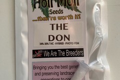 Sell: 6 FEMINIZED THE DON SEEDS