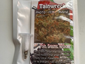 Sell: 6 FEMINIZED TRAINWRECK SEEDS