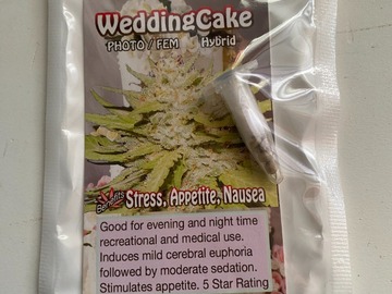 Venta: 6 FEMINIZED WEDDING CAKE SEEDS