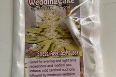 Sell: 6 FEMINIZED WEDDING CAKE SEEDS