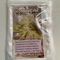 Sell: 6 FEMINIZED WEDDING CAKE SEEDS