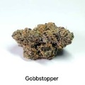 Sell: Gobbstopper - 12 Regs