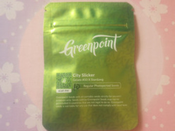 Auction: *Auction* City Slicker - Greenpoint Seeds