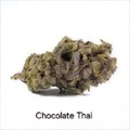 Auction: Auction - Chocolate Thai IBL - 12 Regs