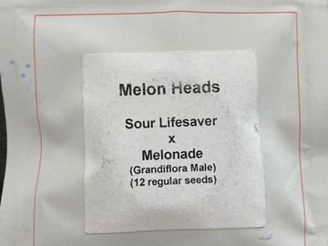 Venta: Melon Heads