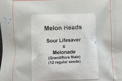 Sell: Melon Heads