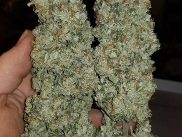 Venta: Inkognyto Genetics – MASS HAZE