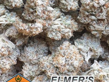 Sell: Relentless Genetics – Elmer's Glue