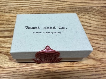 Sell: Umami Seeds Co. Jelly Zonuts *Rare*