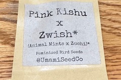 Vente: Umami Seeds Co Pink Kishu x Zwish Fems