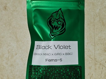 Sell: Robinhood Seeds - Black Violet