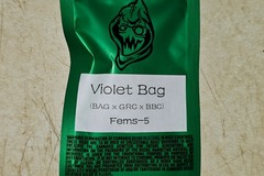 Vente: Robinhood Seeds - Violet Bag