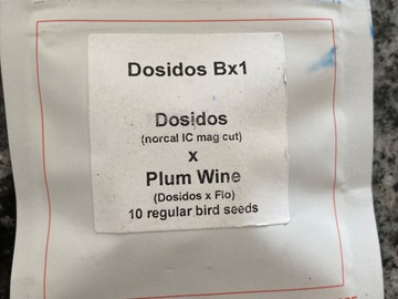 Sell: DOSIDOS BX1 (DOSIDOS x PLUM WINE)