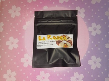 Auction: La Rosca (Heavy Duty Fruity Chocolate Chunk X Wilson) Masonic