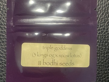 Sell: Triple Goddess (3 Kings OG x Snow Lotus) - Bodhi Seeds