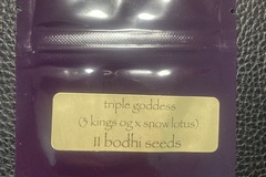 Venta: Triple Goddess (3 Kings OG x Snow Lotus) - Bodhi Seeds