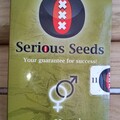 Vente: SERIOUS SEEDS - SERIOUS HAPPINESS (AK-47 x Warlock) - REG SEEDS