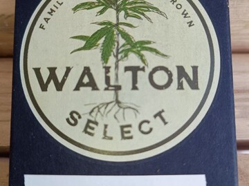 Venta: WALTON SELECT - TKT x DEEP CHUNK -15 REG SEEDS