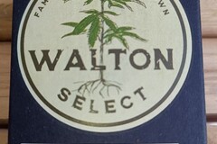 Venta: WALTON SELECT - TKT x DEEP CHUNK -15 REG SEEDS