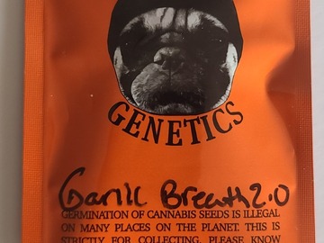 Vente: THUGPUG  GARLIC BREATH 2.0