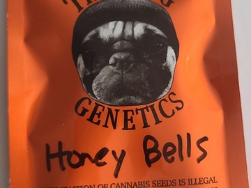 Vente: THUGPUG  HONEY BELLS