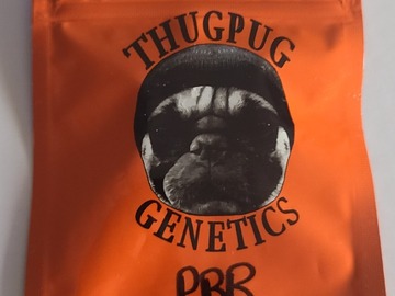 Vente: THUGPUG  PEANUT BUTTER BREATH