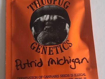 Vente: THUGPUG  PUTRID MICHIGAN