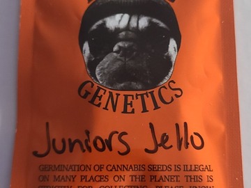 Vente: THUGPUG  JUNIORS JELLO