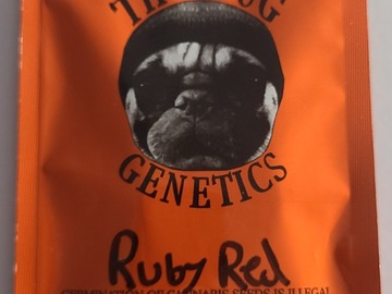 Vente: THUGPUG  RUBY RED