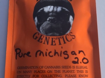 Vente: THUGPUG  PURE MICHIGAN 2.0