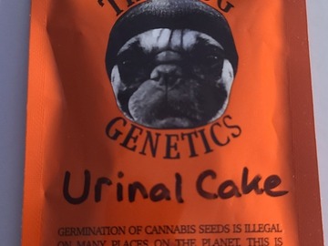 Vente: THUGPUG  URINAL CAKE