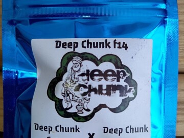 Vente: TERP FI3ND - DEEP CHUNK F14 - 10 REG SEEDS