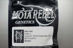 Vente: Red Six *Mota Rebel Genetic