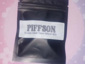 Auction: *Auction* Piffson (Cuban Black Haze x Wilson) - Masonic Seeds