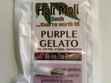 Venta: 6 FEMINIZED PURPLE GELATO SEEDS