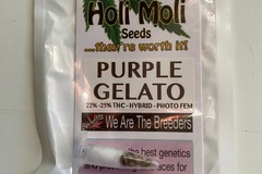 Venta: 6 FEMINIZED PURPLE GELATO SEEDS