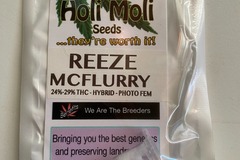 Vente: 6 FEMINIZED REEZE MCFLURRY SEEDS