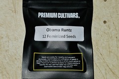 Vente: Premium Cultivars - Obama Runtz