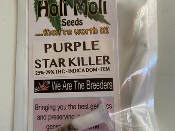 Venta: 6 FEMINIZED PURPLE STAR KILLER SEEDS