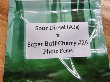 Sell: Sour Diesel x Super Buff Cherry#26 - 10 Photo FEMS