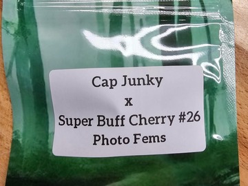 Sell: Cap Junky x Super Buff Cherry#26 - 10 Photo FEMS