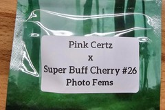 Vente: Pink Certz x Super Buff Cherry#26 - 10 Photo FEMS