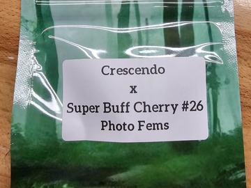 Venta: Crescendo x Super Buff Cherry#26 - 10 Photo FEMS