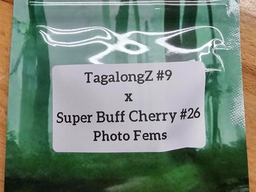 Venta: TagalongZ #9 x Super Buff Cherry#26 - 10 Photo FEMS