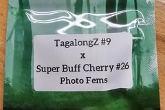 Vente: TagalongZ #9 x Super Buff Cherry#26 - 10 Photo FEMS