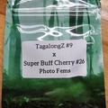 Vente: TagalongZ #9 x Super Buff Cherry#26 - 10 Photo FEMS