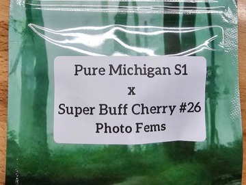 Vente: Pure Michigan S1 x Super Buff Cherry#26 - 10 Photo FEMS