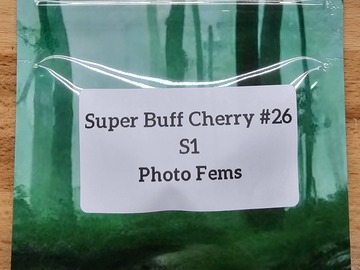 Venta: Super Buff Cherry #26 S1 - 10 Photo FEMS