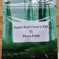 Vente: Super Buff Cherry #26 S1 - 10 Photo FEMS