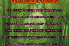 Vente: Super Buff Cherry #26 - Photo FEM Combo